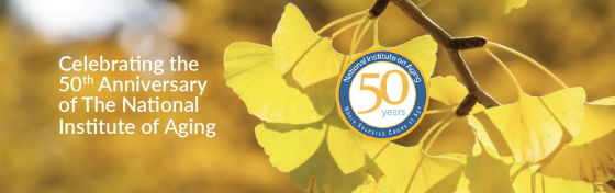 Ginkgos with the 50th anniversary NIA circle logo
