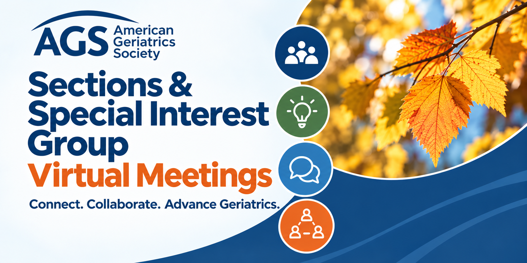 AGS Sections and SPecial interest Groups