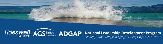 Image of waves crashing on sandbar, Tideswell, AGS, ADGAP & National Leadership Development Program logos beneath image