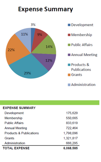 Expense Summary 2021